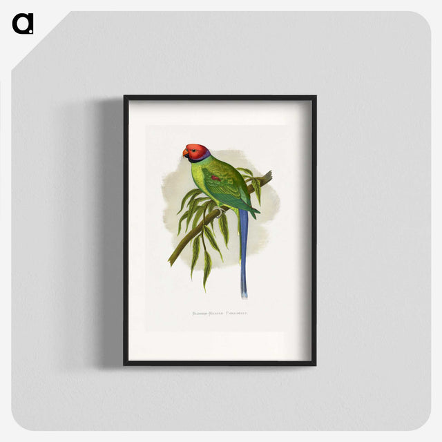 1-82_Parrots-in-Captivity_blk