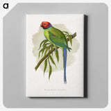 1-82_Parrots-in-Captivity_canvas