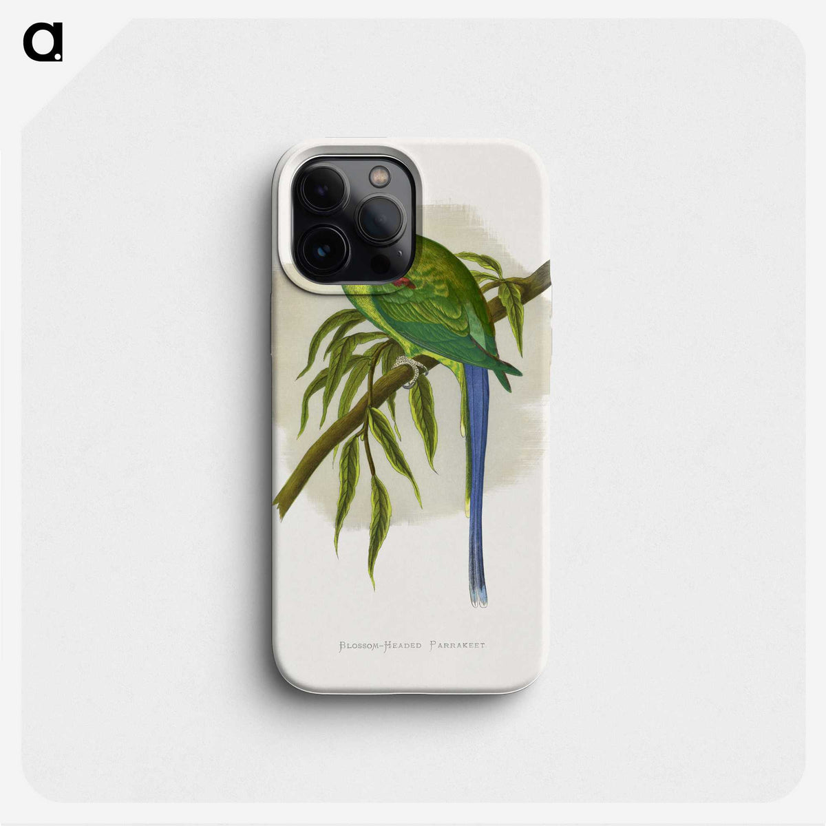 1-82_Parrots-in-Captivity_phone