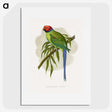 1-82_Parrots-in-Captivity_picture