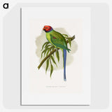 1-82_Parrots-in-Captivity_picture