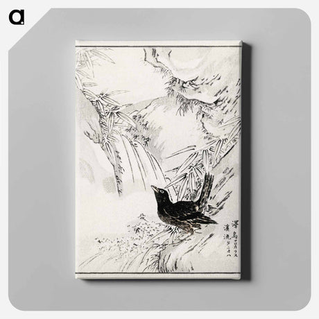 アートパネル-Eastern Rook and Stream
 - 鳥類図鑑 Canvas.