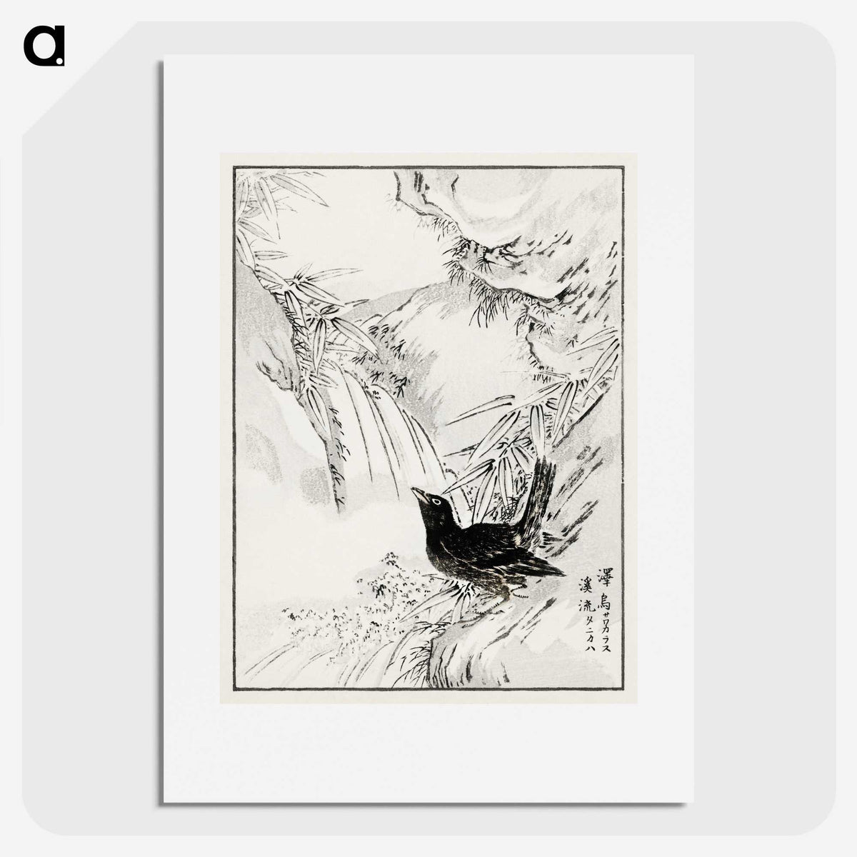 1-82_Pictorial-Monograph-of-Birds_picture