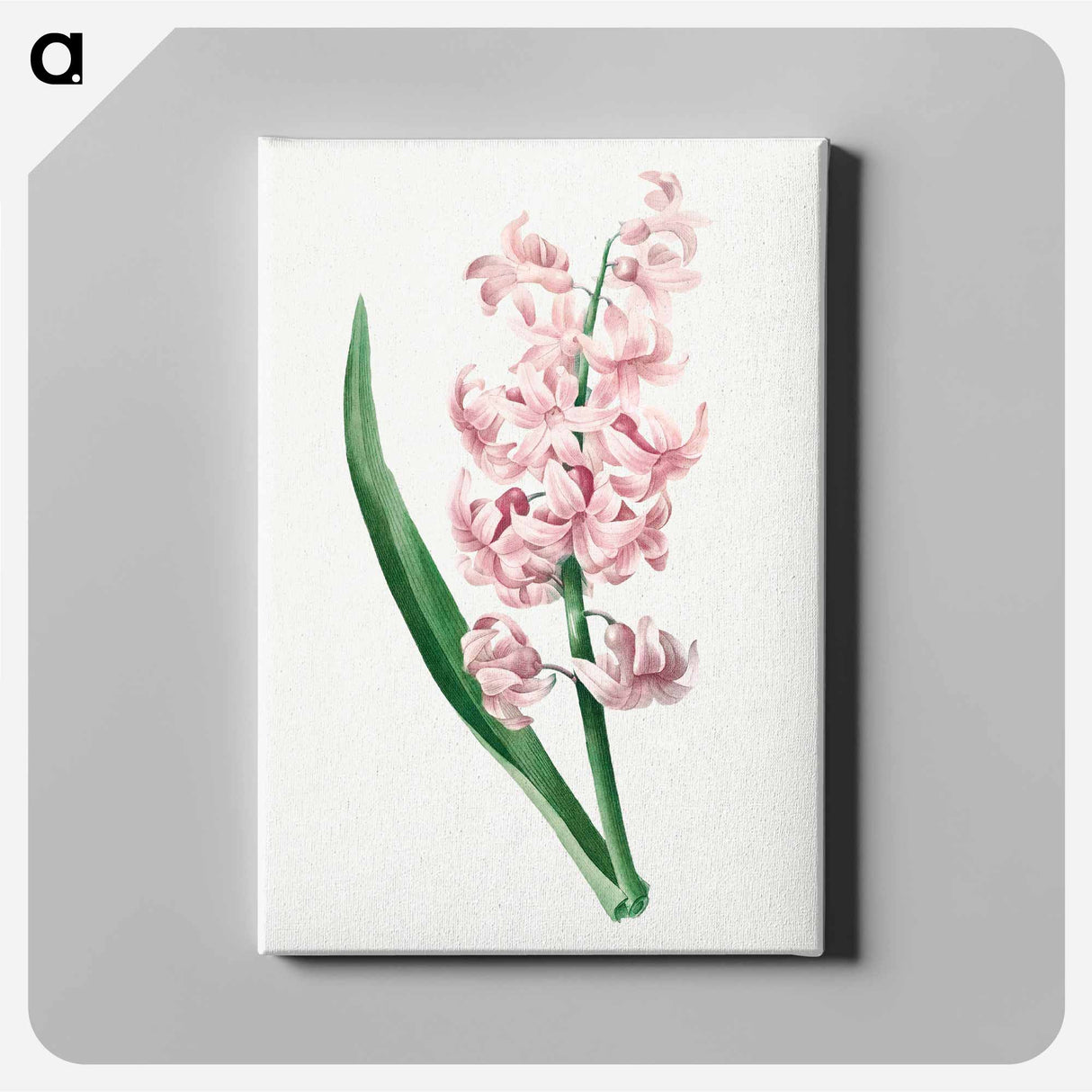 アートパネル-Pink Hyacinth - ピエール ジョゼフ ルドゥーテ Canvas.