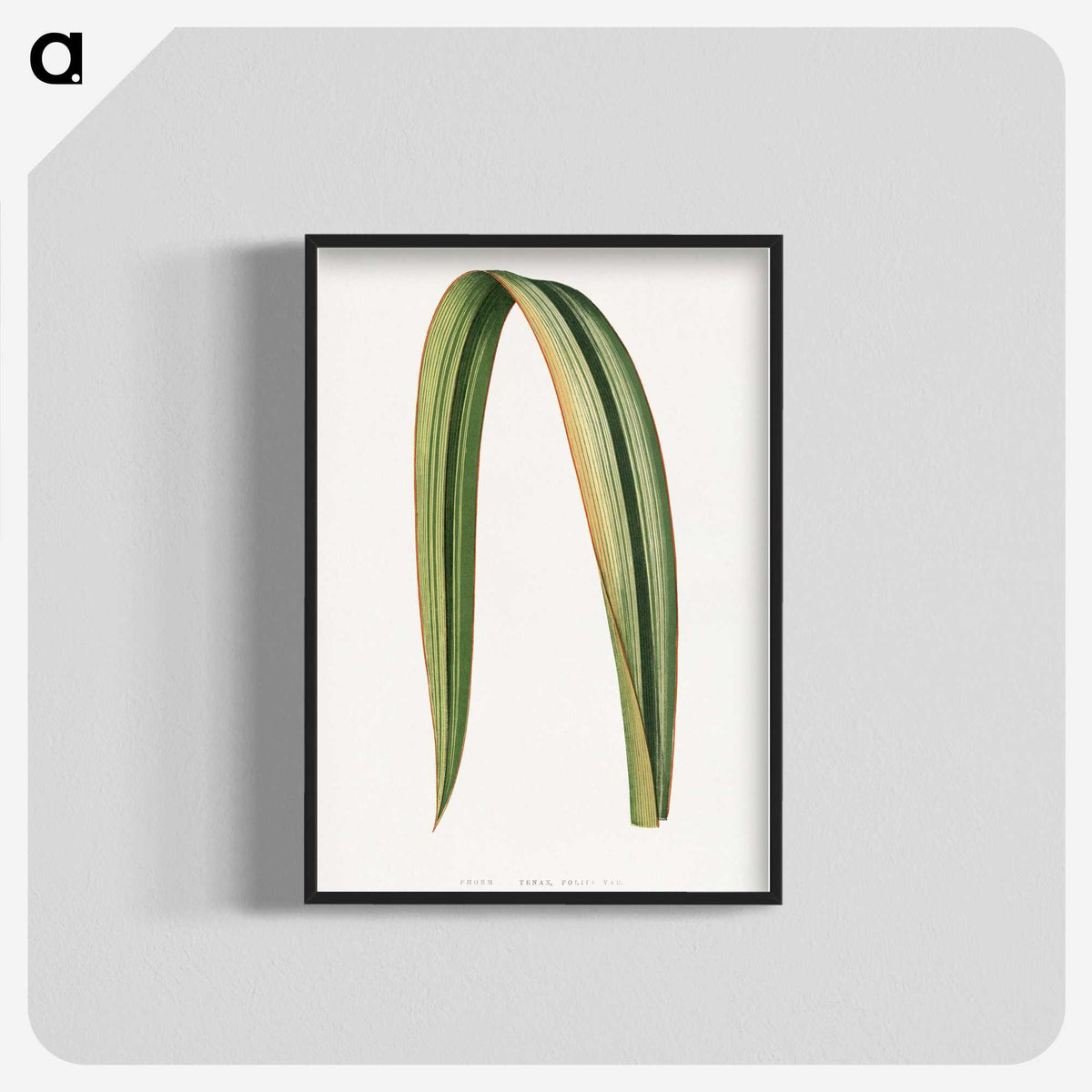 1-82_Plants-with-Colored-Foliage_blk-crop