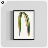 1-82_Plants-with-Colored-Foliage_blk-crop