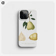 1-82_Pomona-Italiana_phone