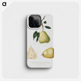 1-82_Pomona-Italiana_phone