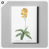 1-82_The-Lilies_canvas