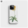 1-82_The-Lilies_phone