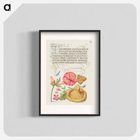 アートポスター-Four o'Clock, Brown Hairstreak, Herb Robert, and Chanterelle
 - 書道のお手本 Poster.