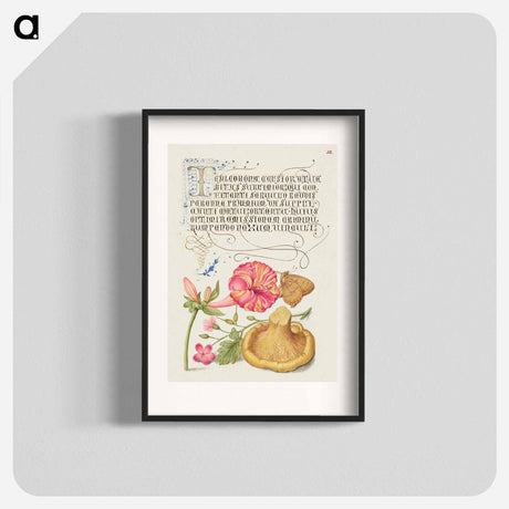 アートポスター-Four o'Clock, Brown Hairstreak, Herb Robert, and Chanterelle
 - 書道のお手本 Poster.