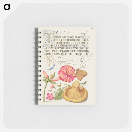 アートメモ帳-Four o'Clock, Brown Hairstreak, Herb Robert, and Chanterelle
 - 書道のお手本 Memo.
