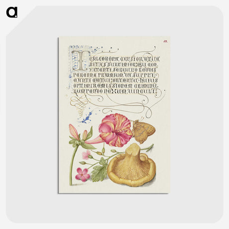 1-82_The-Model-Book-of-Calligraphy_postcard