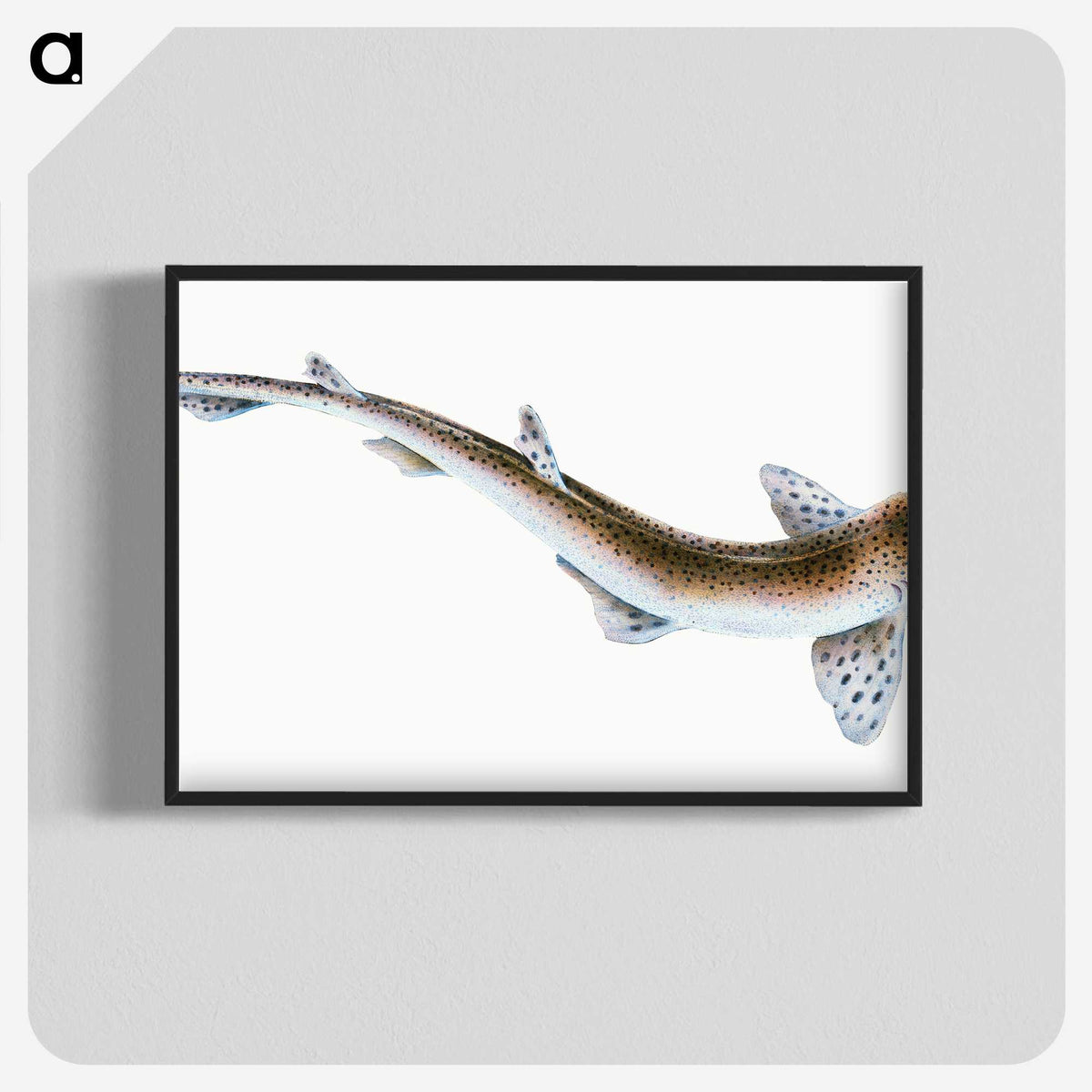 1-82_The-Natural-History-of-British-Fishes_blk-crop