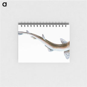 1-82_The-Natural-History-of-British-Fishes_memo