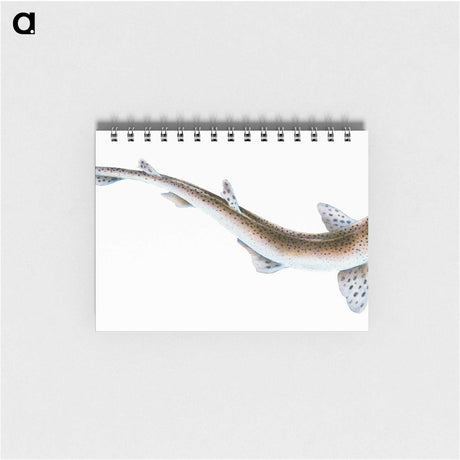 1-82_The-Natural-History-of-British-Fishes_memo