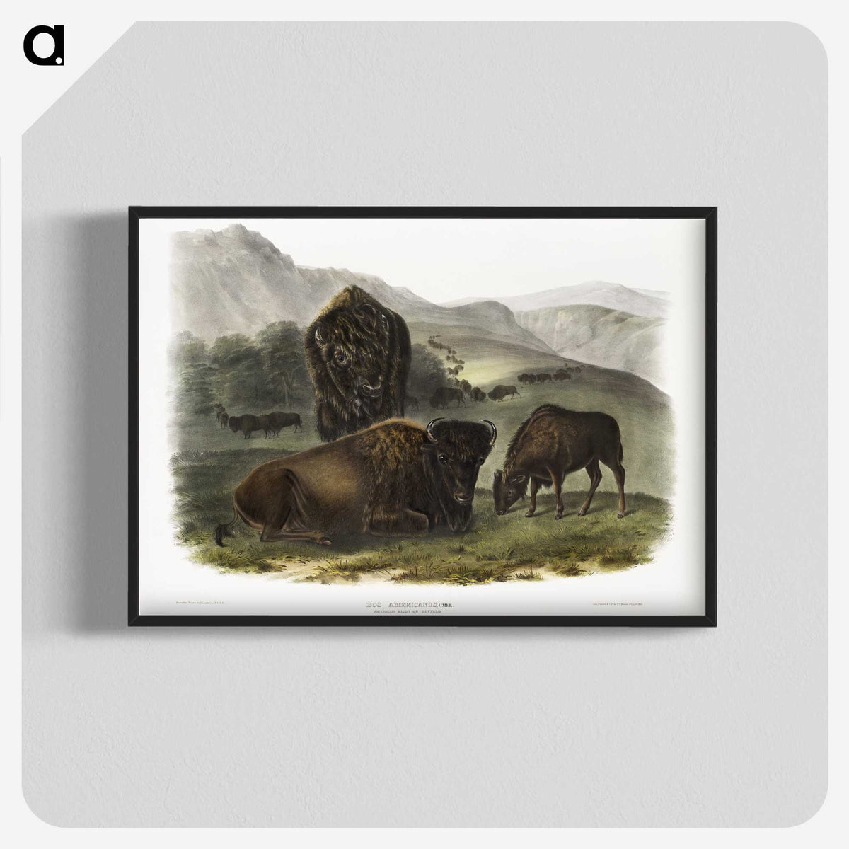 1-82_The-Viviparous-Quadrupeds_blk-crop
