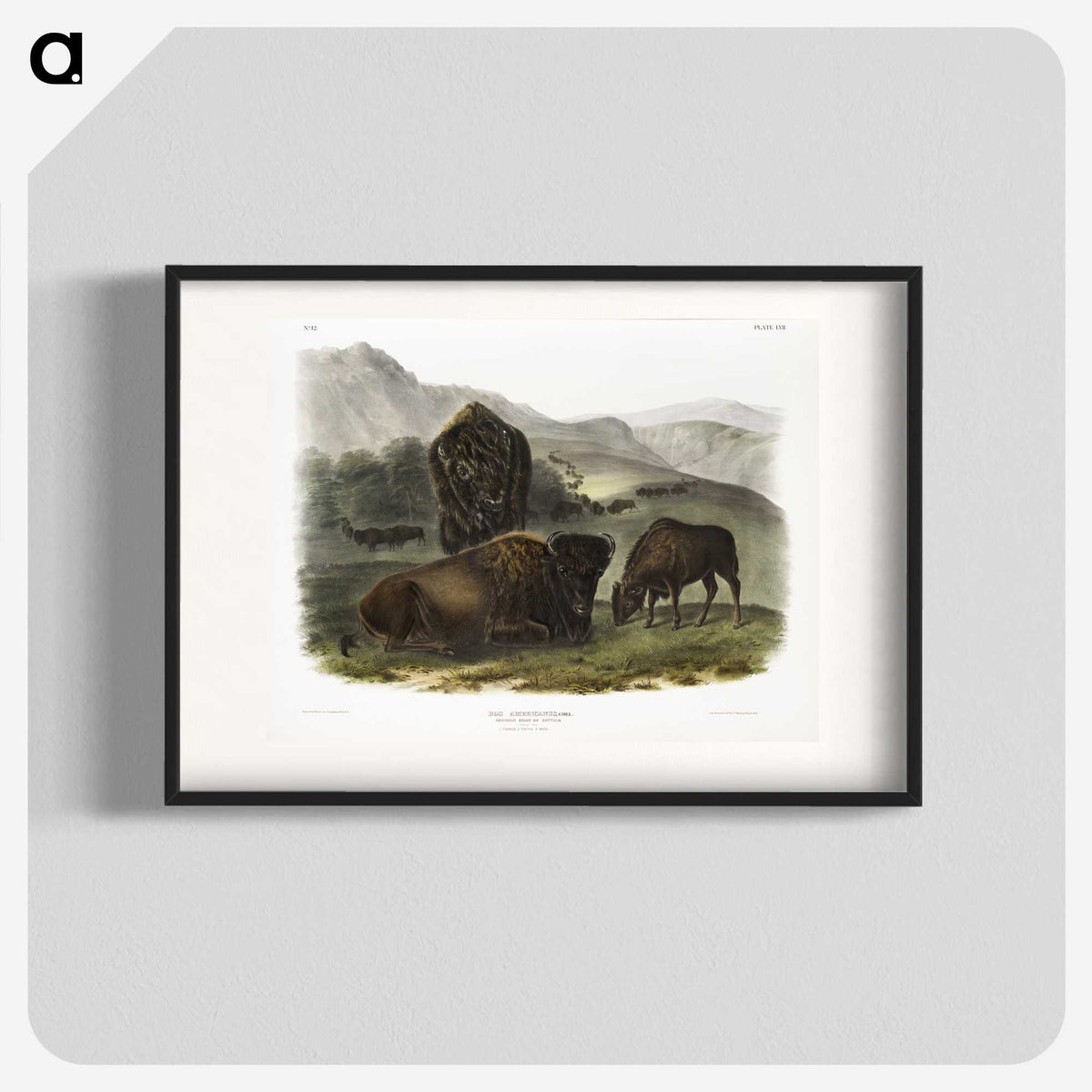 1-82_The-Viviparous-Quadrupeds_blk