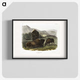 1-82_The-Viviparous-Quadrupeds_blk