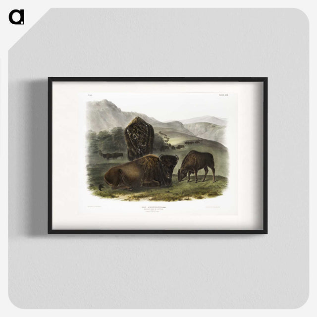 1-82_The-Viviparous-Quadrupeds_blk