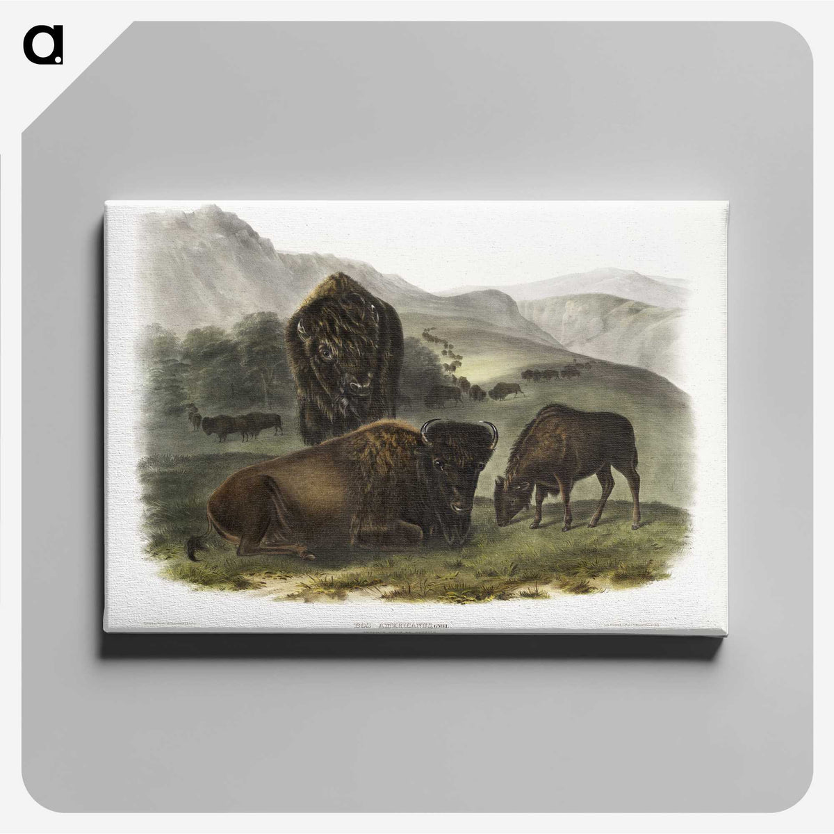 1-82_The-Viviparous-Quadrupeds_canvas