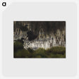 1-82_Thiel-Gallery_postcard