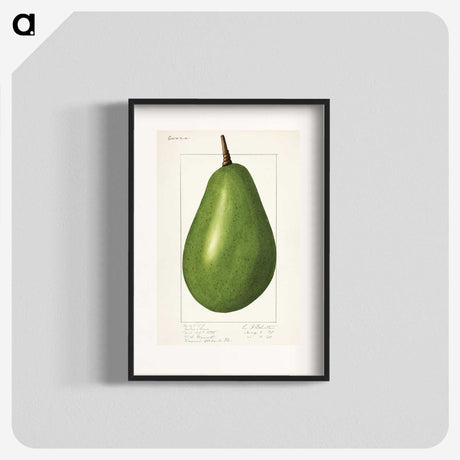 1-82_USDA-Watercolor-Fruit-Painting-Collection_blk