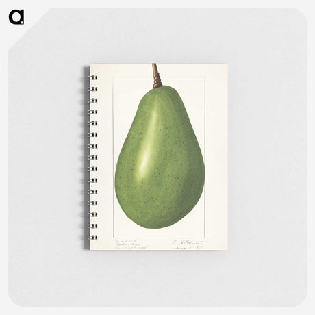 1-82_USDA-Watercolor-Fruit-Painting-Collection_memo