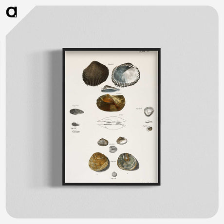 1-82_Zoology-of-New-York_blk-crop