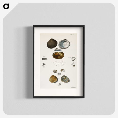 1-82_Zoology-of-New-York_blk