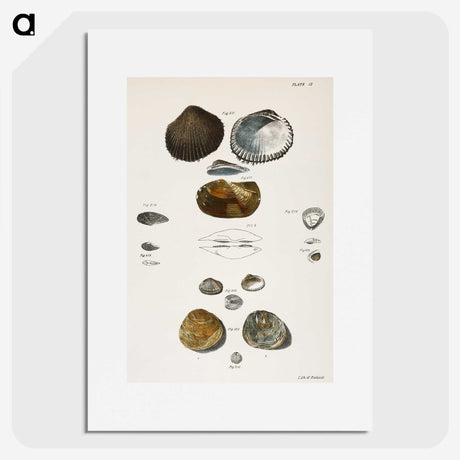 1-82_Zoology-of-New-York_picture