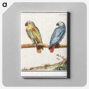 1-83_Anselmus-Boetius-de-Boodt_canvas