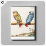 Parrot and gray red-tailed parrot - アンセルムス ボエティウス デ ブート Canvas.