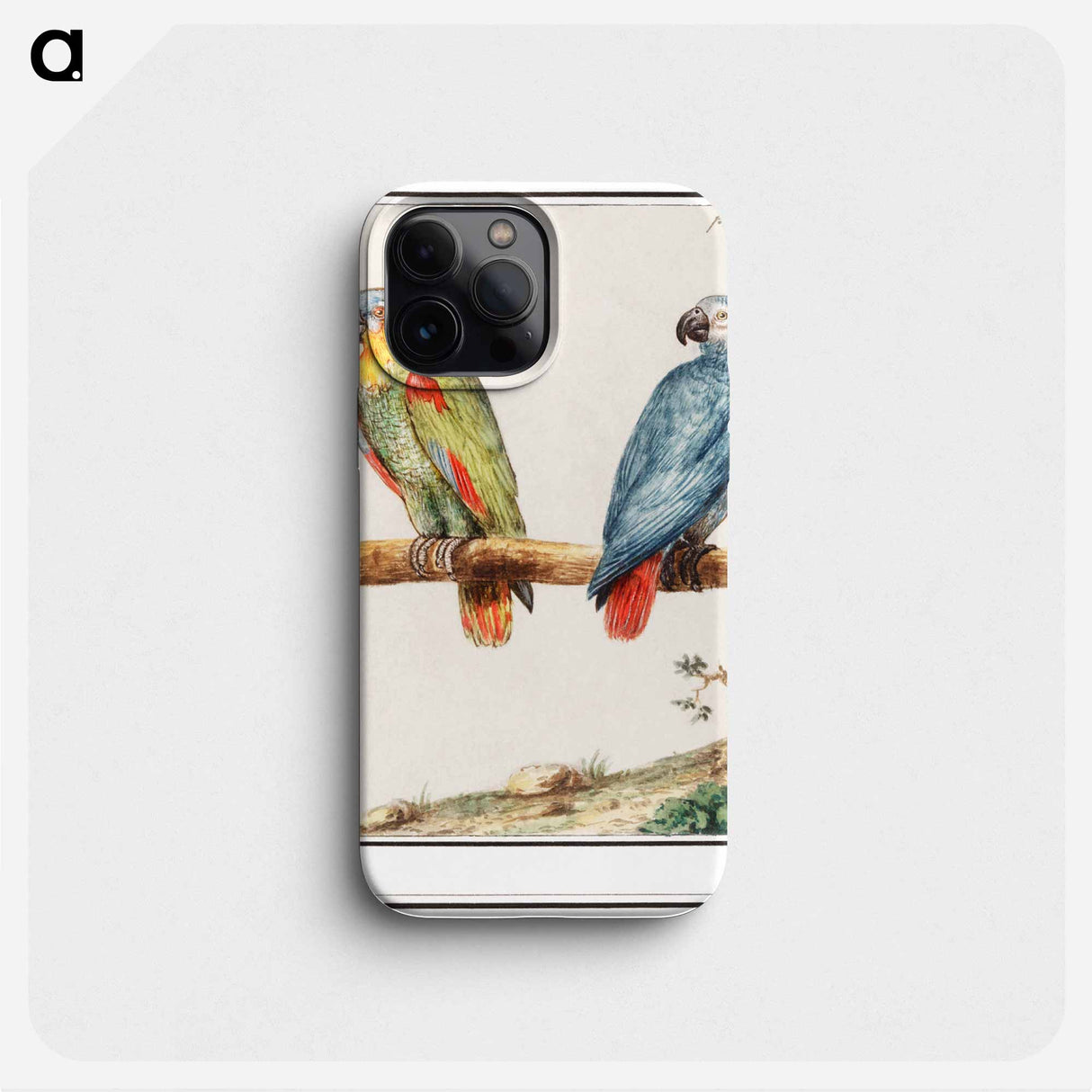 Parrot and gray red-tailed parrot - アンセルムス ボエティウス デ ブート Phone Case.