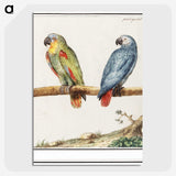 1-83_Anselmus-Boetius-de-Boodt_picture-crop