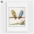 1-83_Anselmus-Boetius-de-Boodt_picture