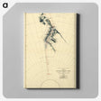 1-83_Antique-Maps_canvas