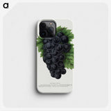 1-83_Botanical-Specimen-Plates_phone