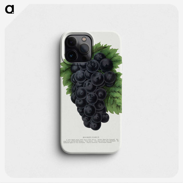 1-83_Botanical-Specimen-Plates_phone