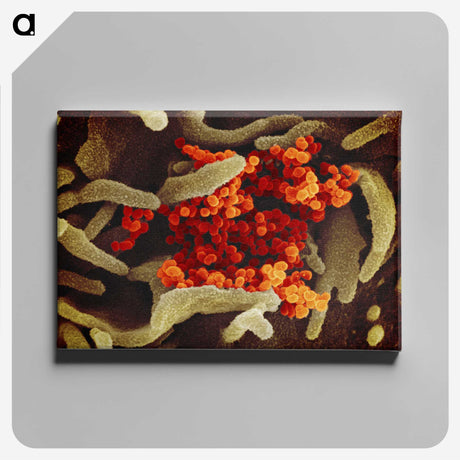 1-83_COVID-19_canvas