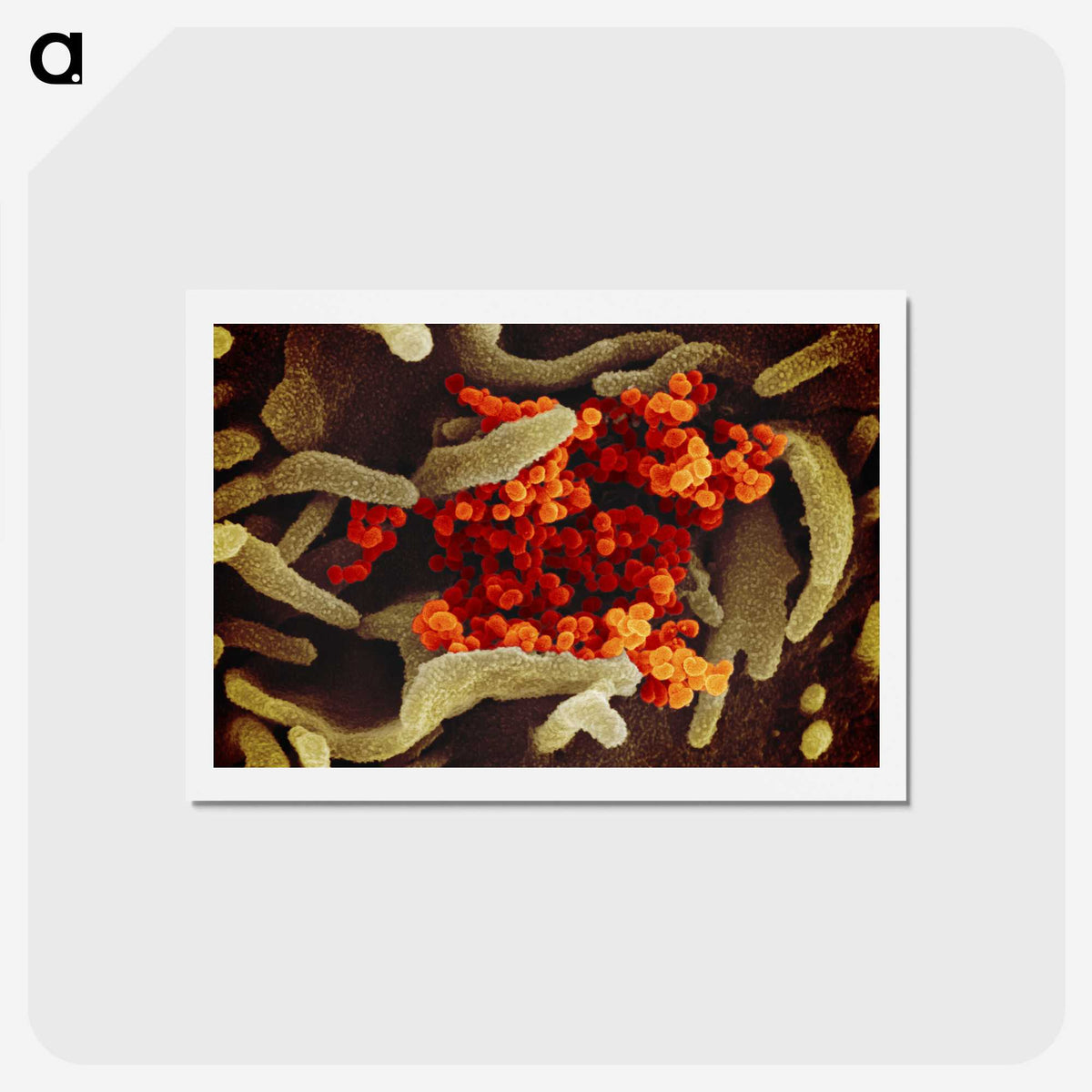 1-83_COVID-19_hagaki