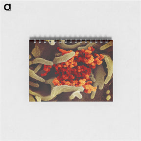 1-83_COVID-19_memo
