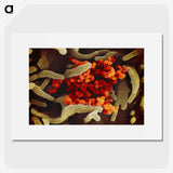 1-83_COVID-19_picture