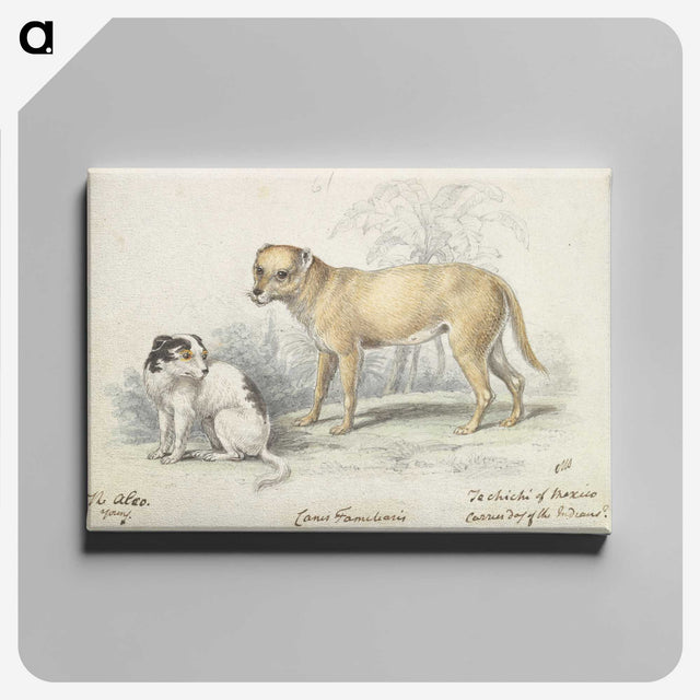 1-83_Charles-Hamilton-Smith_canvas