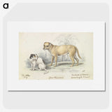 1-83_Charles-Hamilton-Smith_picture
