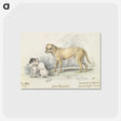 1-83_Charles-Hamilton-Smith_postcard