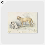 1-83_Charles-Hamilton-Smith_postcard