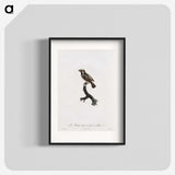 1-83_Des-Oiseaux-de-Paradis_blk