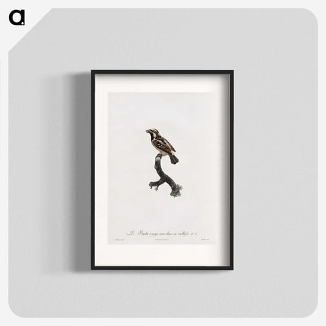 1-83_Des-Oiseaux-de-Paradis_blk